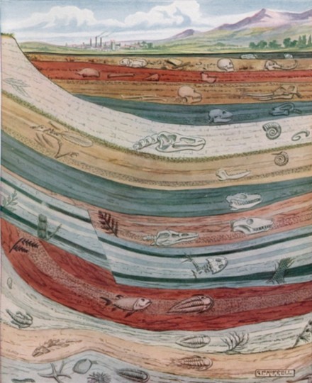 Painting of many layers of sediment, each containing different fossils, all under a field and mountains.