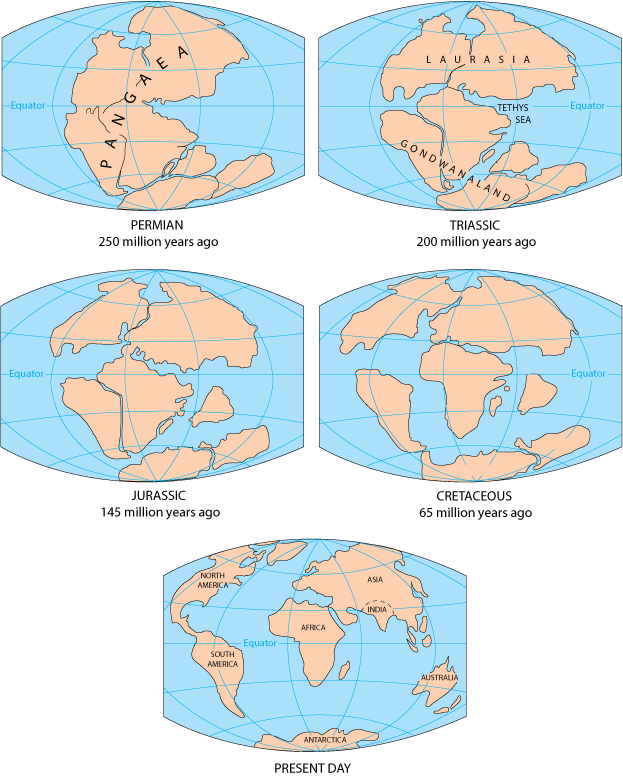 Maps of the Permian (250 million years ago) with Pangea, Triassic (200 million years ago with Laurasia and Gondwanaland, Jurassic (145 million years ago), Cretaceous (65 million years ago), and present day (with the seven continents).