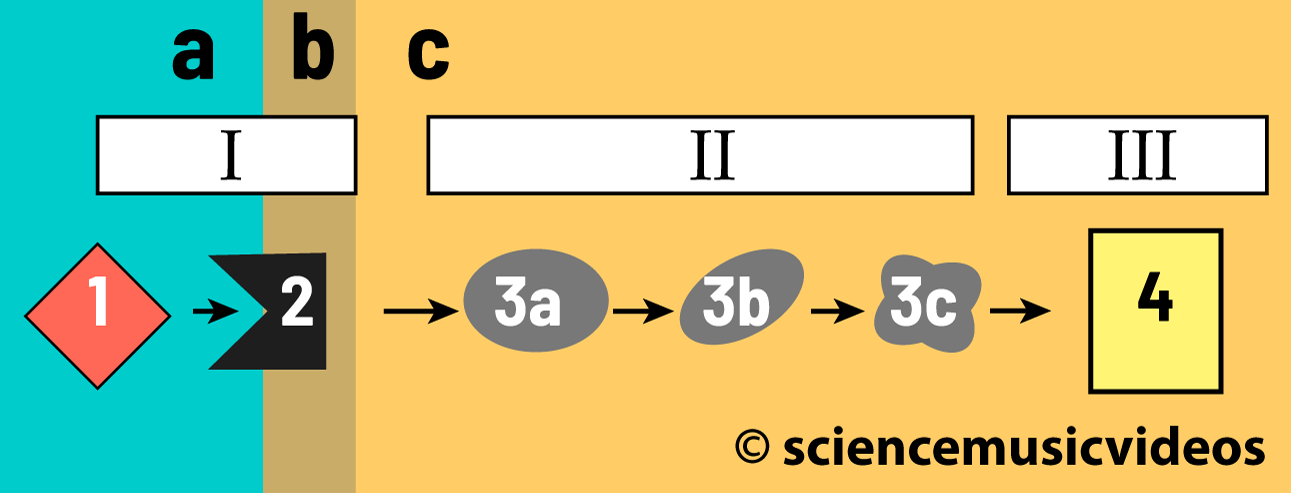 Basic cell signaling diagram divided into three regions.