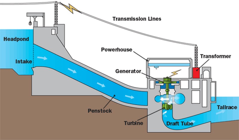 Hydroelectric dam diagram. Described under the heading 5. It ends with making ATP by chemiosmosis.