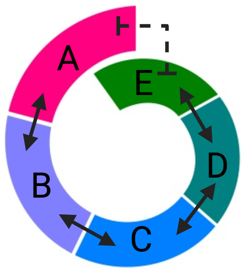 A spiral of connected, colored strips connected by double-ended arrows starting with: Magenta A, Lilac B, Blue C, Teal D, and Green E. Between A and E is a dashed line with perpendicular lines at either end. The dashed line has a 90 degree angle bend.