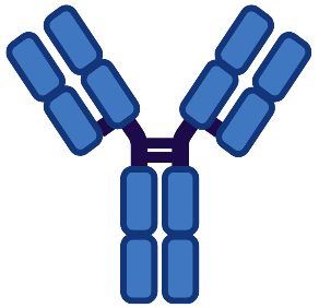 Blue antibody with no additions.