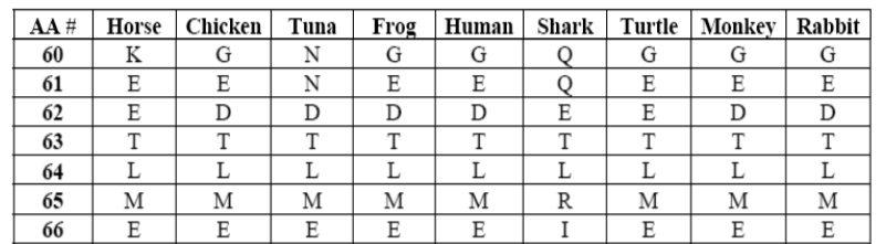 The amino acid numbers are 60 to 666 from top to bottom. Horse has K, E, E, T, L, M, E. Chicken has G, E, D, T, L , M, E. Tun has N, N, D, T, L , M , E. Frog has G, E, D, T, L , M, E. Human has G, E, D, T, L, M, E. Shark has Q, Q, E, T, L R, I. Turtle has G, E, E, T, L, M, E. Monkey has G, E, D, T, L, M, E. Rabbit has G, E, D, T, L, M, E.