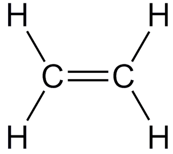 Structural formula of ethylene gas. Two double-bonded carbon atoms each have two hydrogens bonded to them.