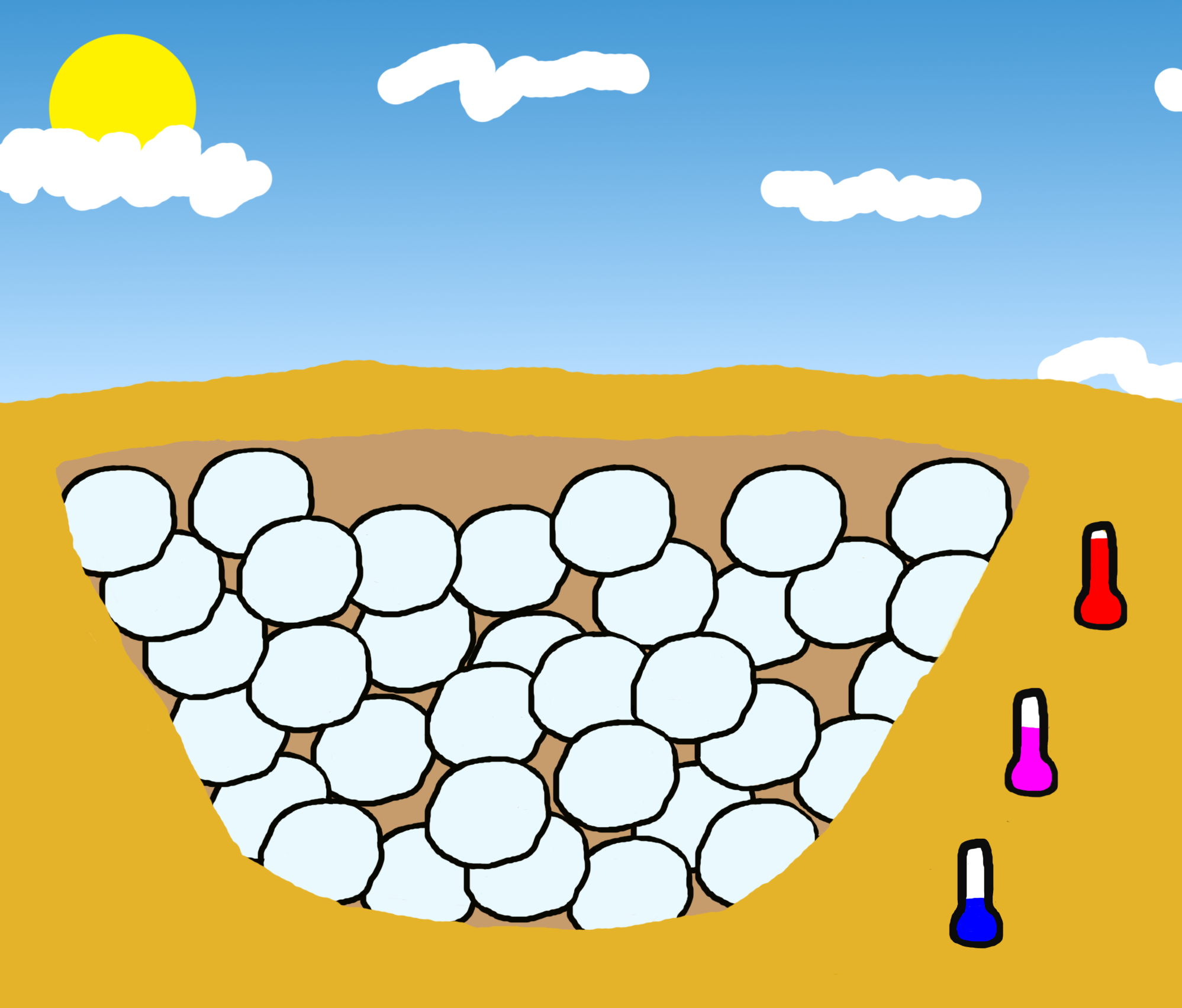 Multiple eggs are buried in a pit underground. The temperature is coolest at the bottom of the pit and rises close to the surface.