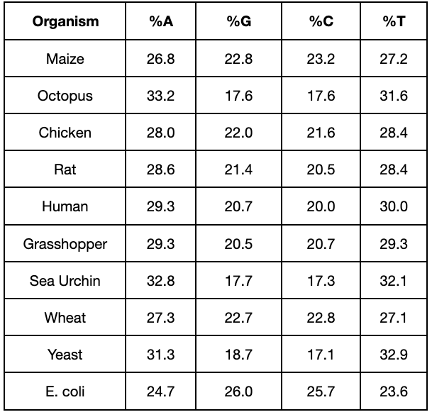 Table of base percentages by organism. In base order of A, G, C, and T, the percentages of bases are: Maize = 26.8, 22.8, 23.2, 27.2. Octopus = 33.2, 17.6, 17.6, 31.6. Chicken = 28.0, 22.0, 21.6, 28.4. Rat = 28.6, 21.4, 20.5, 28.4. Human = 29.3, 20.5, 20.7, 29.3. Grasshopper = 29.3, 20.5, 20.7, 29.3. Sea urchin = 32.8, 17.7, 17.3, 32.1. Wheat = 27.3, 22.7, 22.8, 27.1. Yeast = 31.3, 18.7, 17.1, 32.9. E. coli = 24.7, 26.0, 25.7, 23.6.