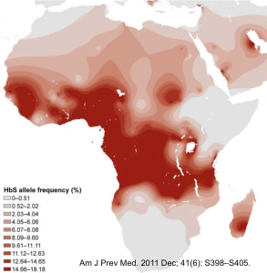 Heat map of HbS allele frequency in Africa. Areas of highest incidence (14.66-18.18%) are sub-Saharan, central Africa and excludes the southern end of Africa and mainly Ethiopia and Somalia. Citation: Am J Prev Med. 2011 Dec; 41(6): S398-S405.