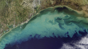 Satellite image showing the dead zone in the gulf of mexico